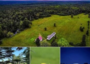 Spacious 104-Acre Homestead in Reed Plantation, ME
