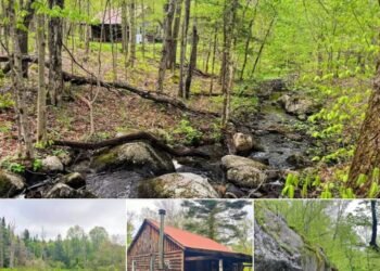 133.6-Acre Cabin Retreat in Star Lake, New York