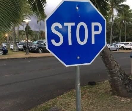 The Meaning Behind a Blue Stop Sign