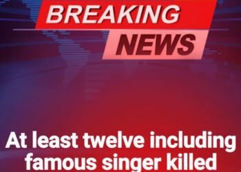 SOTD – Twelve dead including famous singer in plane crash off remote island!