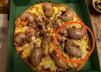 I ordered a pizza in the evening. The delivery driver brought it to me.