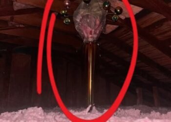 THE CHILLING TRUTH ABOUT WHAT IS HIDING IN YOUR ATTIC AND THE SHOCKING REASON WHY THE UNEXPLAINED OBJECTS IN THE DARK CORNERS OF YOUR HOME ARE NOT WHAT THEY SEEM