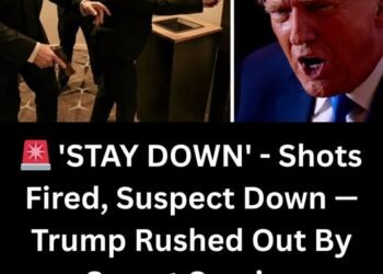 Trump Rushed Off Stage At White House Correspondents’ Dinner