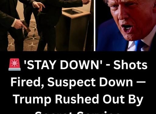 Trump Rushed Off Stage At White House Correspondents’ Dinner