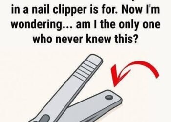 Hidden Purpose Of That Hole