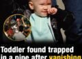 Toddler found trapped in a pipe after vanishing – 38 years later, this is ‘Baby Jessica’ now