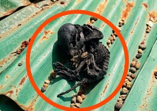 I wanted to repair the roof of my house.