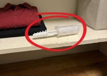 This evening, I opened my wife’s wardrobe and discovered this inside.