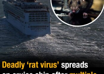Deadly ‘rat virus’ spreads on cruise ship after multiple deaths – passengers trapped on board