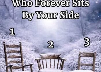 Choose a Chair and Discover What It Reveals About Connection and Loyalty
