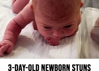 Newborn baby crawls across the hospital cot