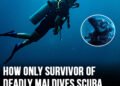 How only survivor of deadly Maldives scuba diving trip managed to escape death