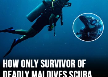 How only survivor of deadly Maldives scuba diving trip managed to escape death