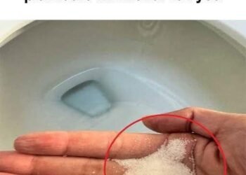 Put salt in your toilet. Here’s why. – Wake Up Your Mind