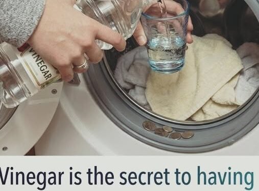 The Hidden Reason Your Laundry Smells Musty — And the Simple Kitchen Ingredient That Can Help Fix It