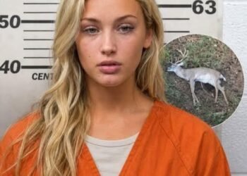 Police Arrest Suspect in Unusual Wildlife