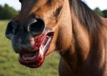 This was the horse that devoured his du…See more