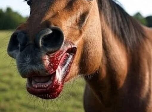 This was the horse that devoured his du…See more