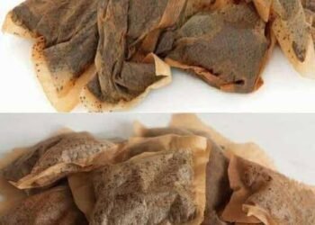 7 Surprising Uses for Used Tea Bags That Go Beyond the Cup