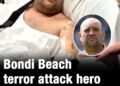 Bondi Beach terror attack hero Ahmed Al Ahmed has been charged