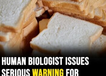 Human biologist issues serious warning for white bread that can be ‘killing you slowly’