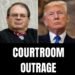 Another day, another federal court stuffed with activist judges who believe their rulings should be based on hurting President Donald Trump.
