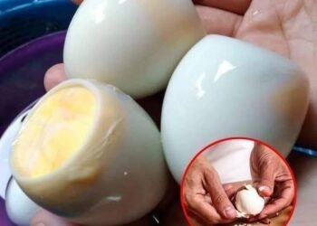 Doctors W.arn: This Common Way of Eating Boiled Eggs Can Clog Your Arteries