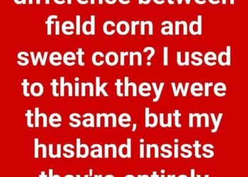 Comparing Field Corn and Sweet Corn