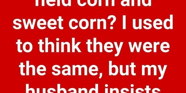 Comparing Field Corn and Sweet Corn