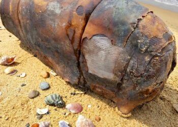 I was walking on the beach when I suddenly came across this.