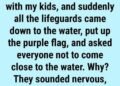 Why You May See a Purple Flag at the Beach: Understanding Ocean Safety and Marine Life Warnings