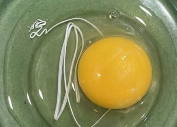 This morning, I woke up and decided to make fried eggs.