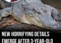 New horrifying details emerge after 3-year-old boy was ‘thrown’ into crocodile enclosure at zoo