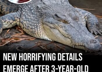 New horrifying details emerge after 3-year-old boy was ‘thrown’ into crocodile enclosure at zoo
