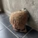 We Returned From Vacation and Discovered an Unexpected Surprise in Our Bathroom