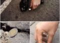 Did you know that if you find a coin on the street it mean…