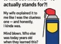 People Are Shocked to Learn the Real Meaning Behind WD-40