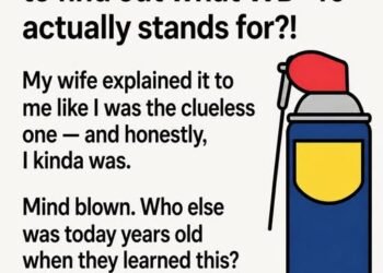 People Are Shocked to Learn the Real Meaning Behind WD-40