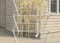 The Sun-Dried Mystery: How Homemade Pasta Turned an Ordinary Backyard Into a Neighborhood Puzzle
