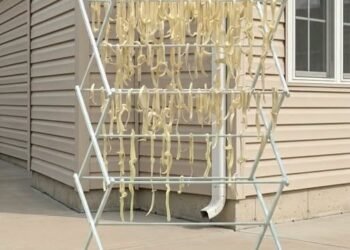 The Sun-Dried Mystery: How Homemade Pasta Turned an Ordinary Backyard Into a Neighborhood Puzzle