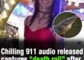 Chilling 911 audio released after woman loses both arms in alligator attack