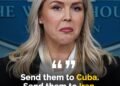 White House Press Secretary Karoline Leavitt this week slammed Gen Z after claiming they have had ‘everything handed to them’.