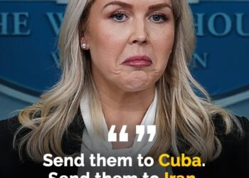 White House Press Secretary Karoline Leavitt this week slammed Gen Z after claiming they have had ‘everything handed to them’.
