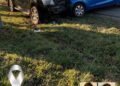 Truck and Student Bus Collision Leaves Multiple Fatalities, Prompting Investigation