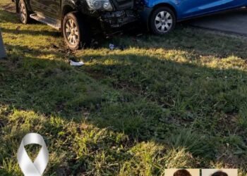Truck and Student Bus Collision Leaves Multiple Fatalities, Prompting Investigation