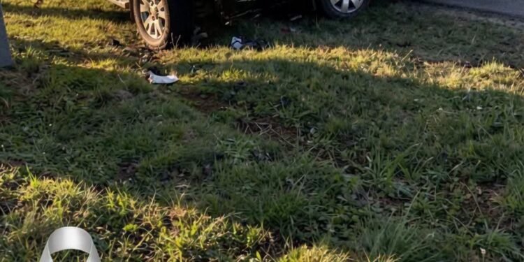 Truck and Student Bus Collision Leaves Multiple Fatalities, Prompting Investigation