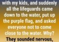 What a Purple Beach Flag Means and Why You Should Pay Attention