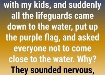 What a Purple Beach Flag Means and Why You Should Pay Attention
