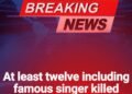 SOTD – Twelve dead including famous singer in plane crash off remote island!