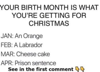 What Your Birth Month Secretly Predicts You’ll Get for Christmas